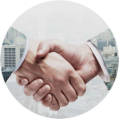 partners