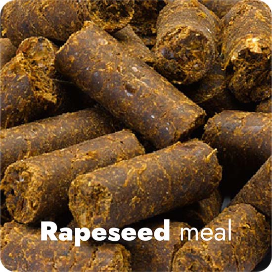 rapeseed meal