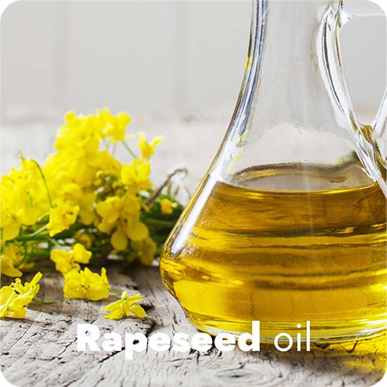 rapeseed oil